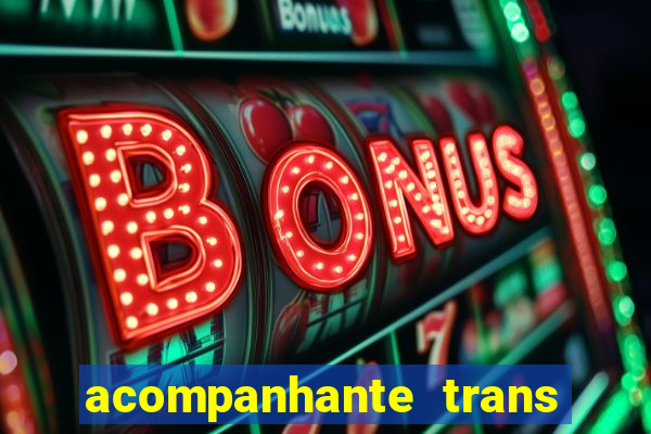 acompanhante trans em santos